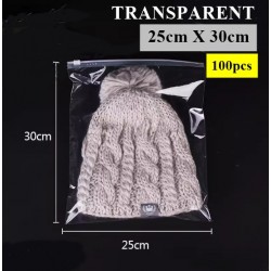 T2 Transparent Plastic Bag with Zip Lock (25cmX30cm, 1pc)