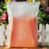 F1 Frosted Plastic Bag with Zip Lock (17 x 25cm), 1pc